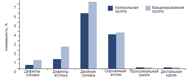  Влияние вакцины на морфологию сперматозоидов у инфицированных ЦВС-2 хряков