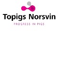 Topigs Norsvin