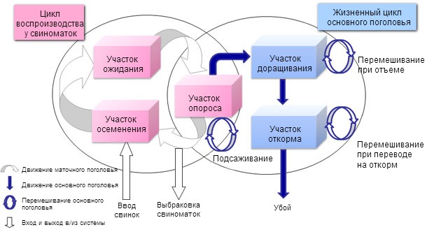 Популяционно-динамическая модель