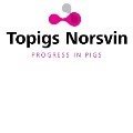 Topigs Norsvin logo