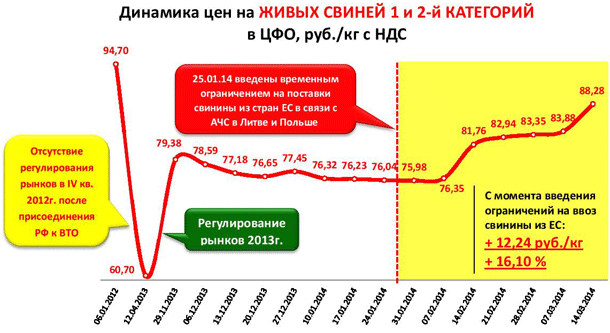 Зафиксирован рост цен на живых свиней и свинину от 2