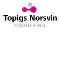 Topigs Norsvin logo