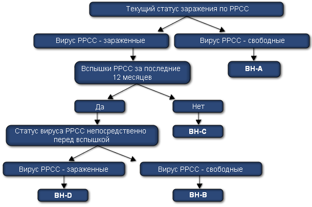 Система классификации вируса РРСС для маточного поголовья