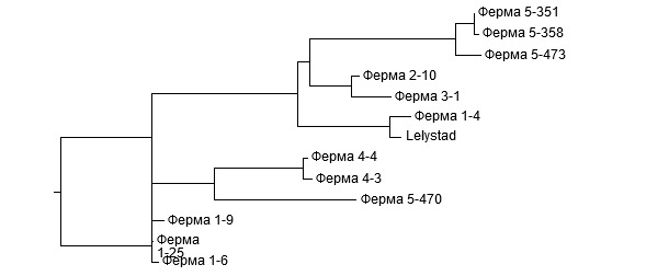 Dendrogram