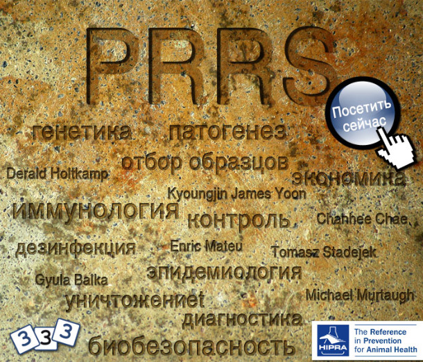 PRRS section