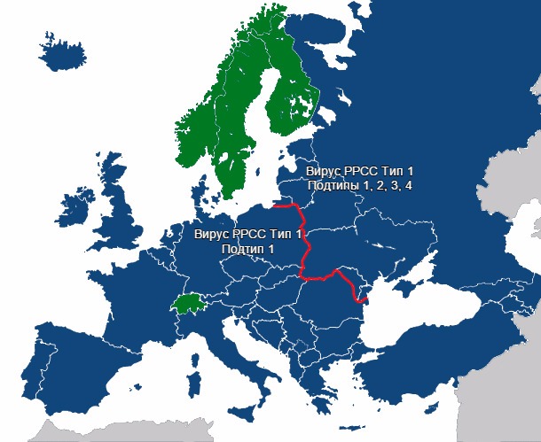 Разнообразие вирусов РРСС в Европе