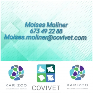 Moises Moliner