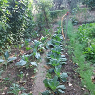 Calamanti Stefano