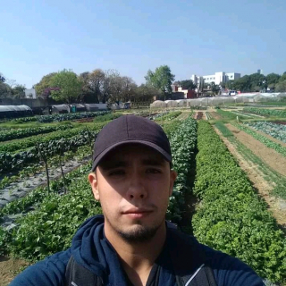 Jose Antonio Urias Amaro
