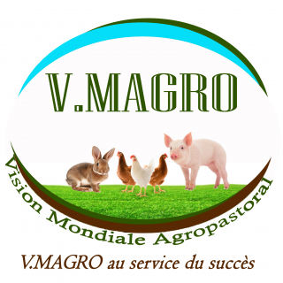 V.MAGRO VISION