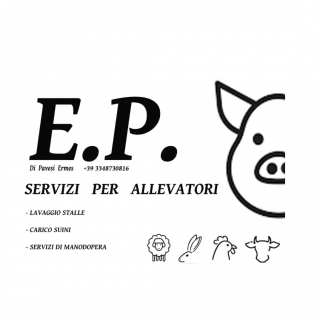 Ermes Pavesi