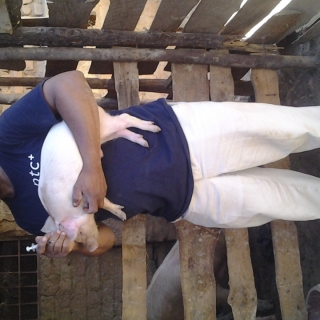 Robert Semaganga